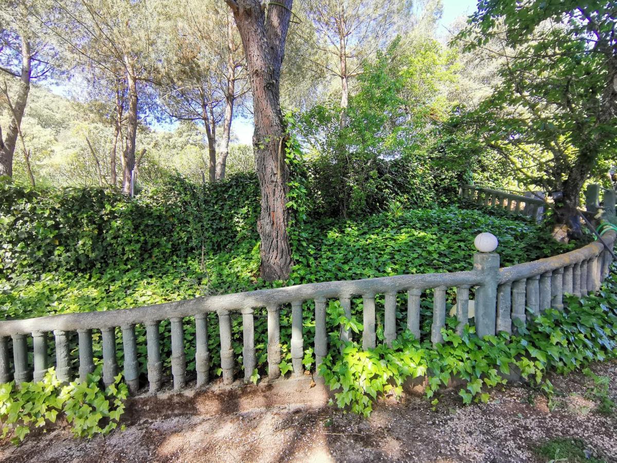 Villa Labriega del hueznar Cazalla de la Sierra Exterior foto